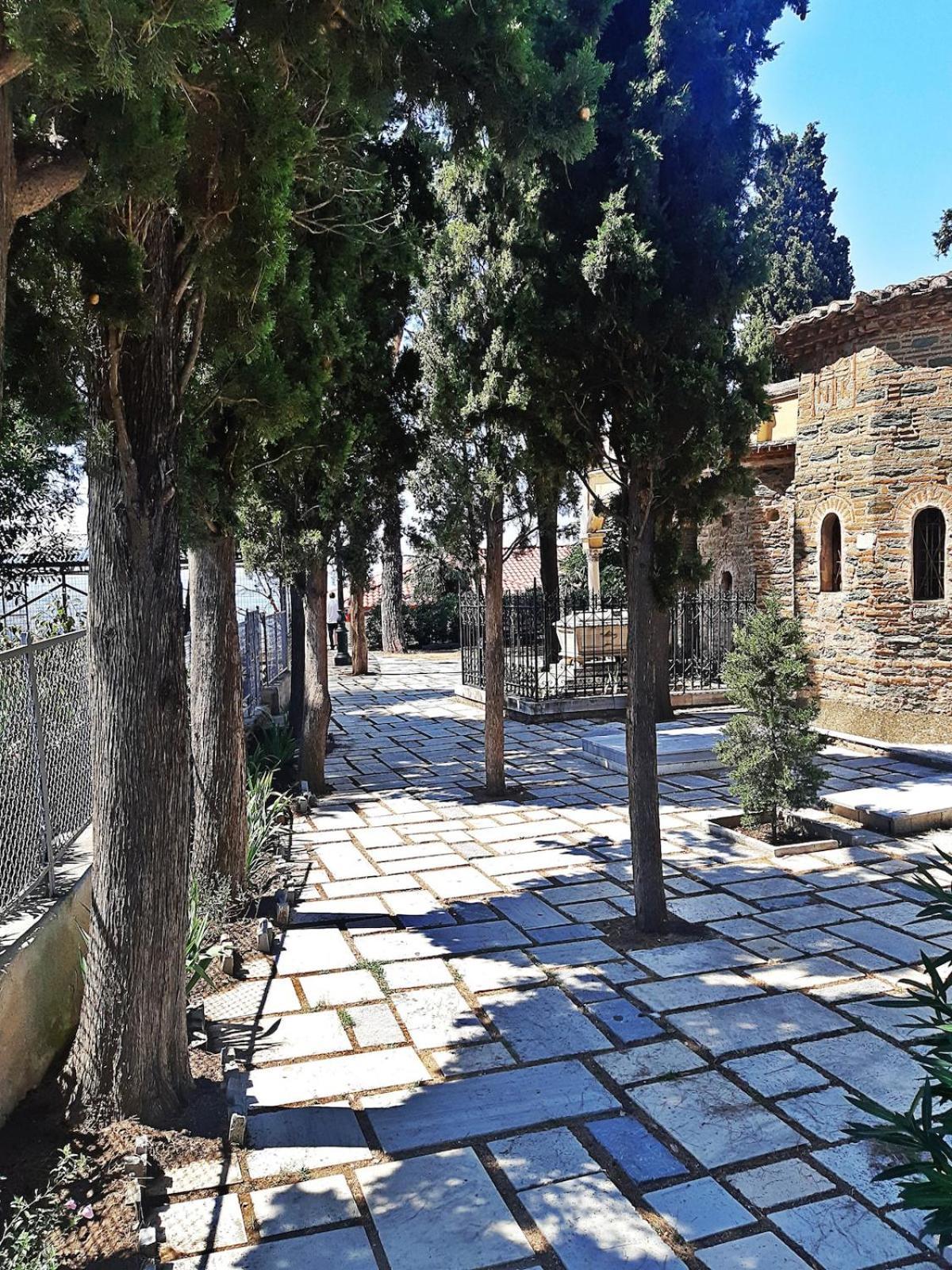New With Backyard *